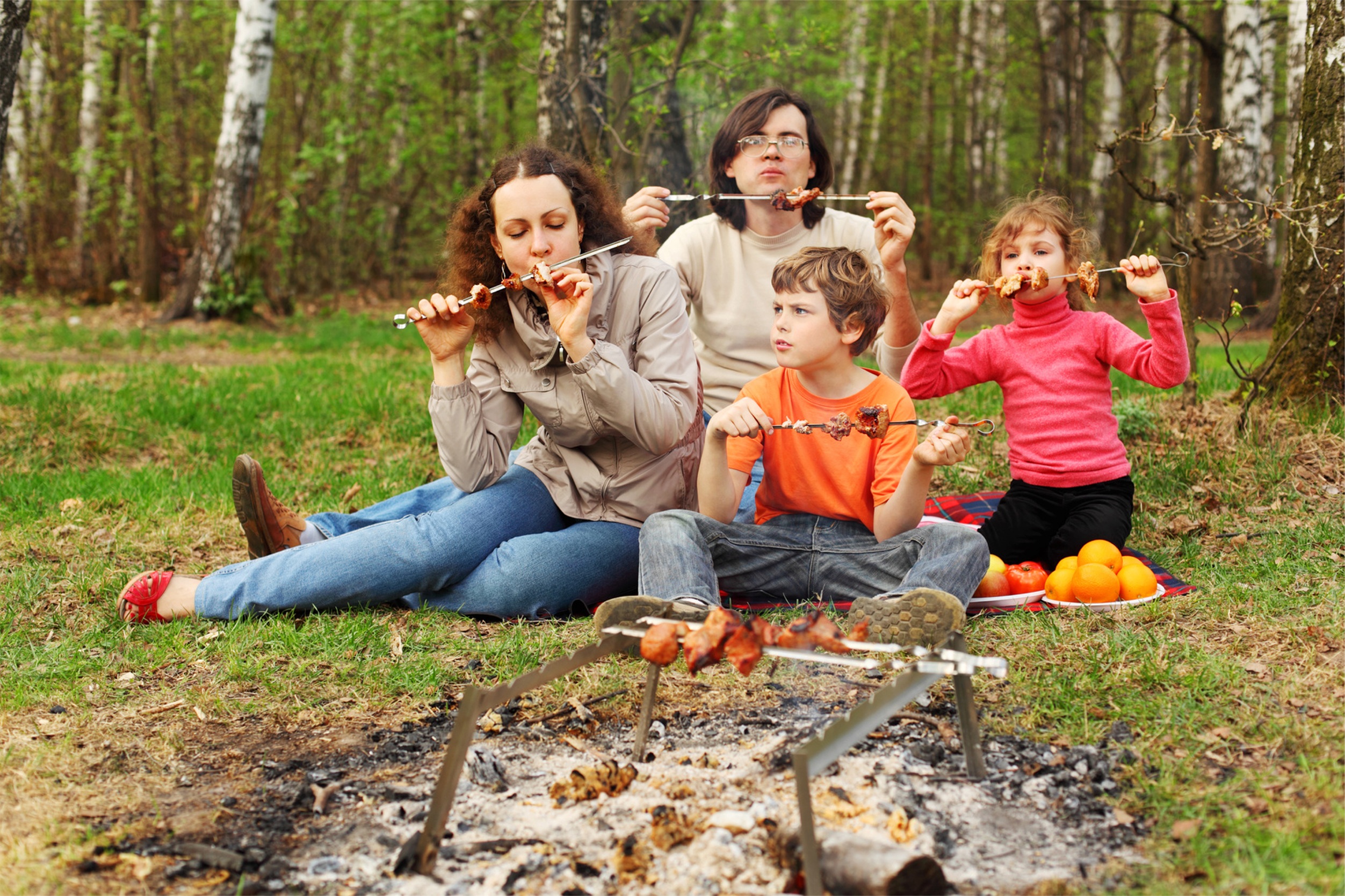 Первый пикник. Праздник на природе. Шашлыки на природе. Семья на шашлыках в лесу. Шашлыки на природе с друзьями.